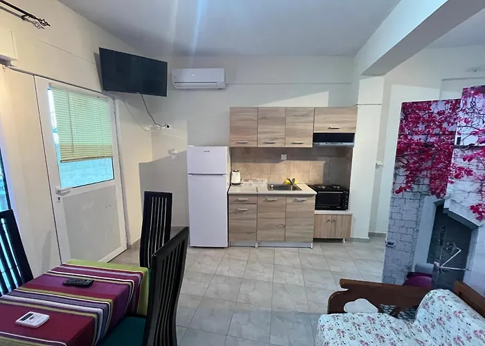 Leonidas Koutsoupia *