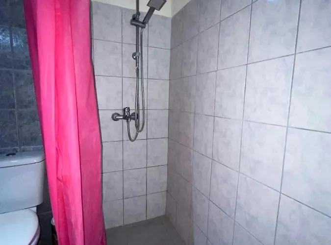 Leonidas Koutsoupia *